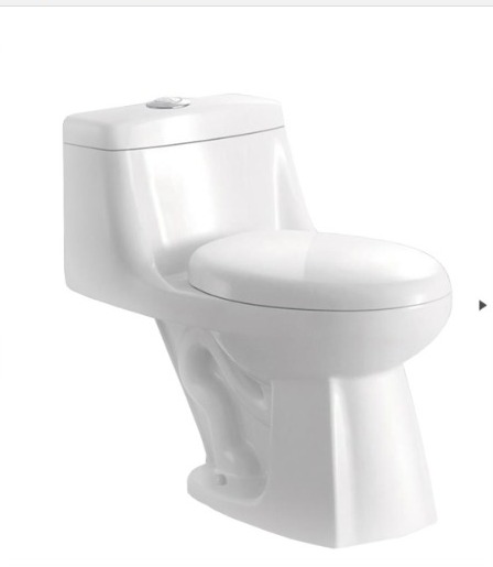 DUAL FLUSH ELONGATED TOILET