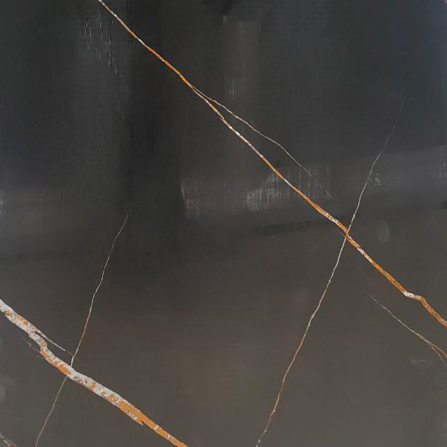 LDG126G1109 P TILE 24X48 16SFT2P