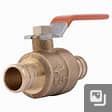 BALL VALVE 3/4" PEX LINNET