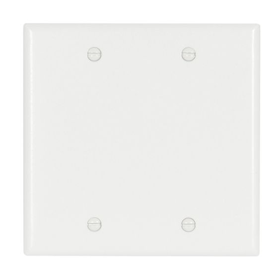 2 GANG WHITE PLATE BLANK