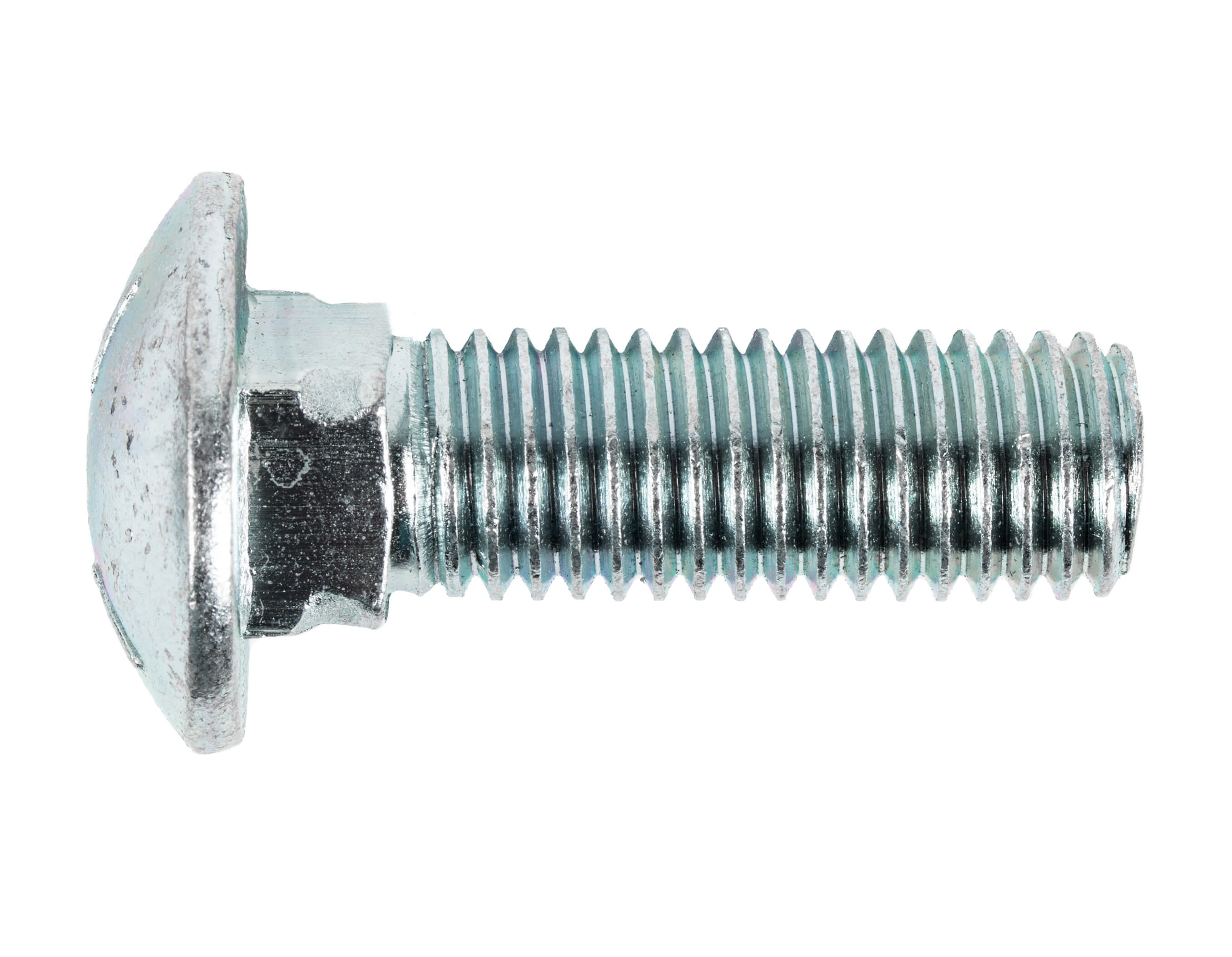 CARRIAGE BOLT 18.8SS1/4-20X2 1/2