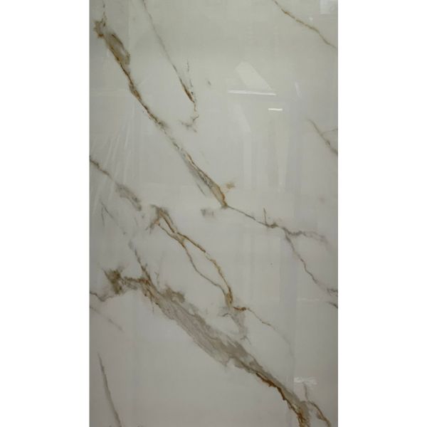 GOLDEN STATUARIO P 24X48 16 SQFT