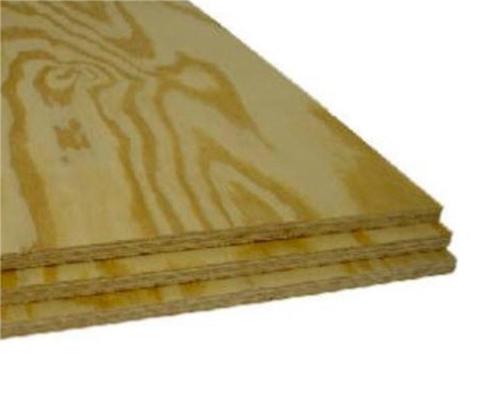 1/2 Pressure Treated Plywood  4x8"
