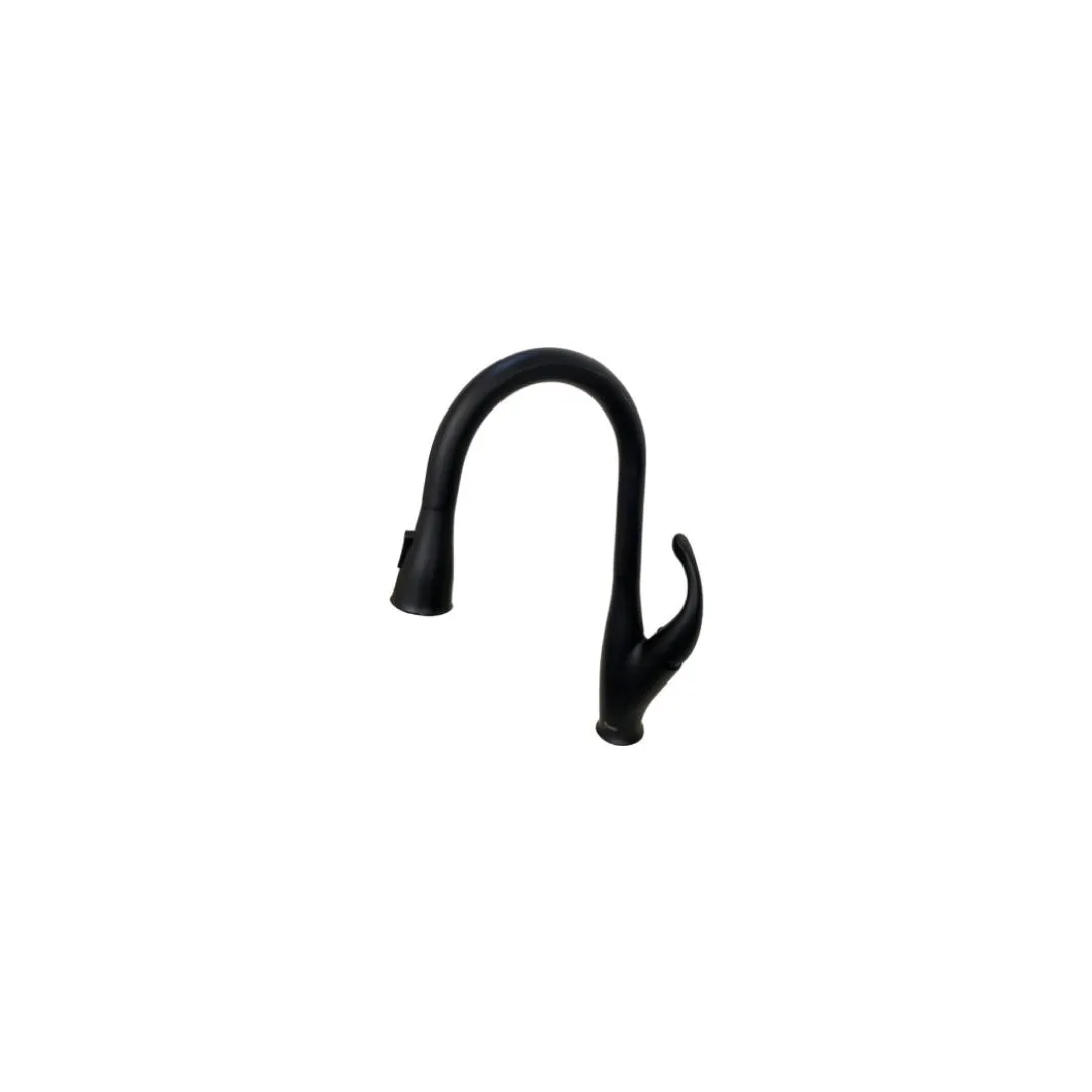 KPT Single-Handle Kitchen Faucet - Matt Black