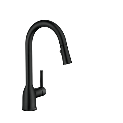 Moen Adler One-Handle High-Arc Kitchen Faucet - Matt Black
