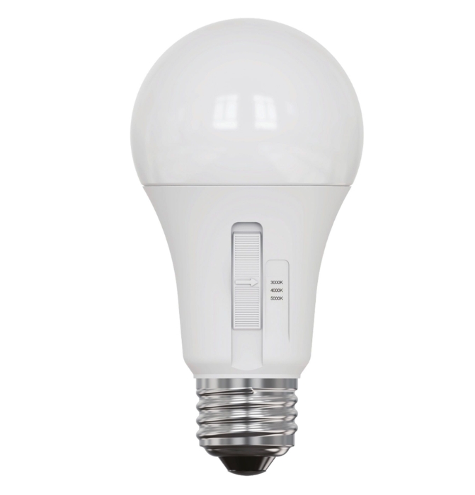Rother A19 LED Bulb - 12 W