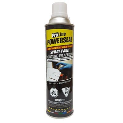 Toolway Proline Lacquer Spray Paint � Glossy White