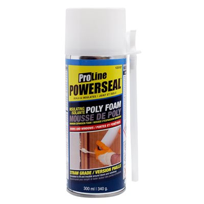 POWRSL WINDOW&DOOR FOAM 340G